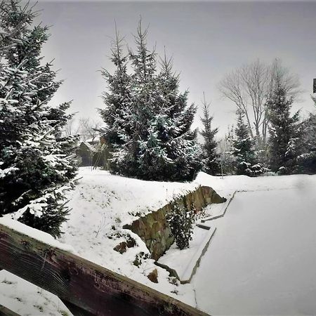 Cottage Ozerniy Lazeshchyna Exterior foto