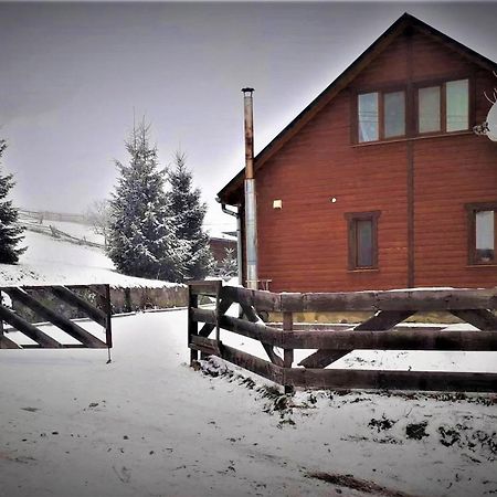 Cottage Ozerniy Lazeshchyna Exterior foto